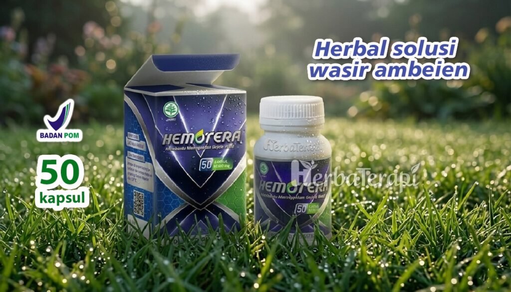 hemotera benjolan di dubur