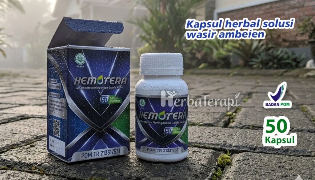 hemotera ciri-ciri ambeien kronis