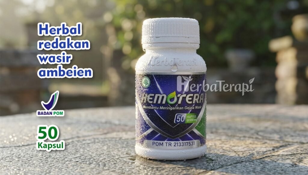 hemotera pendarahan wasir kronis