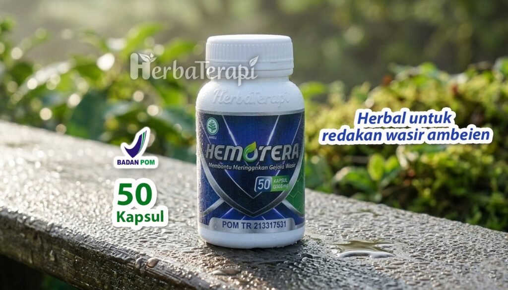 hemotera sembelit kronis