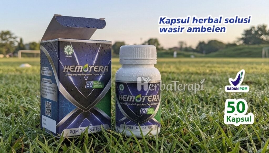 hemotera obat herbal ambeien terbaik