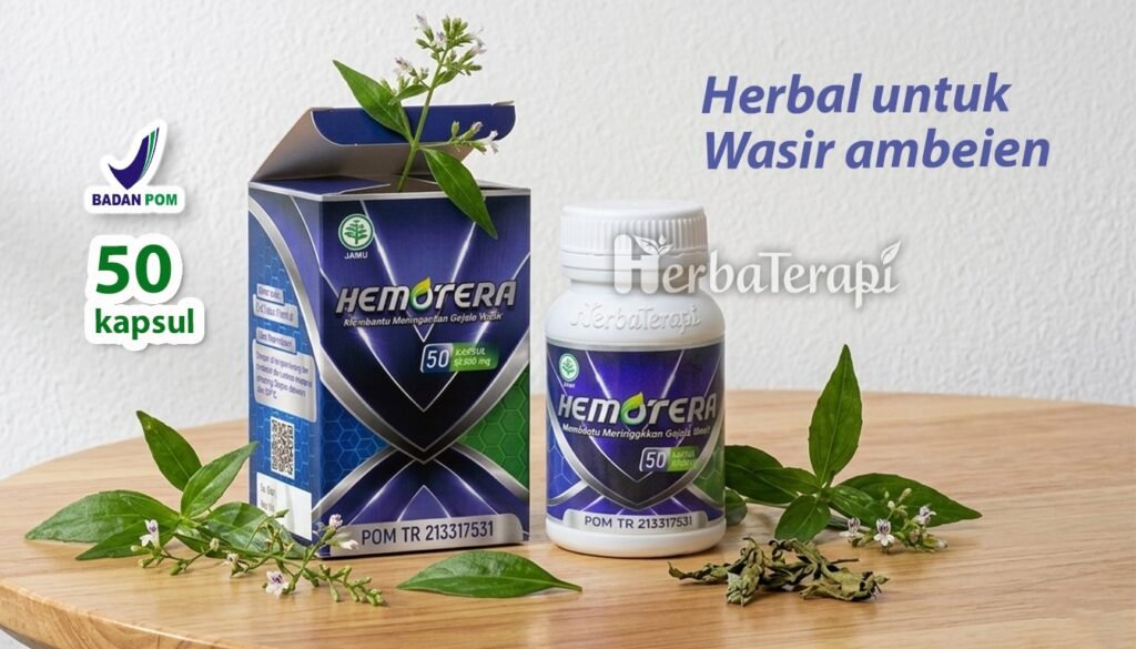 hemotera infeksi bakteri pada dubur