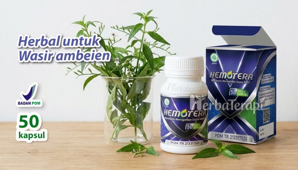 hemotera perjalanan jauh