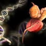 prosterafit risiko kanker prostat