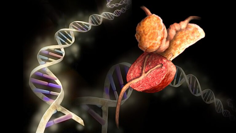 prosterafit risiko kanker prostat