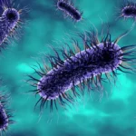 prosterafit bakteri penyebab nyeri kencing