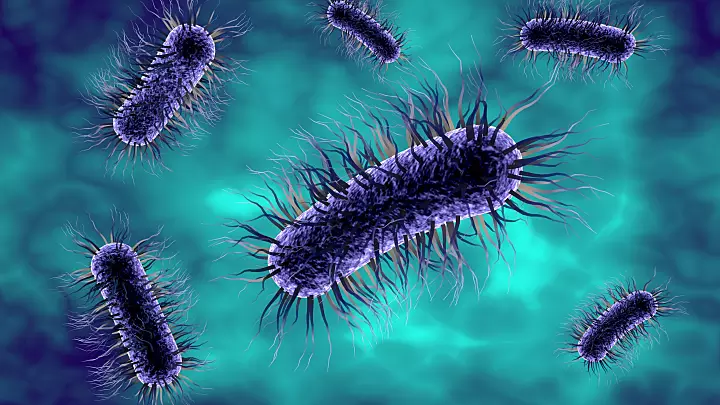 prosterafit bakteri penyebab nyeri kencing