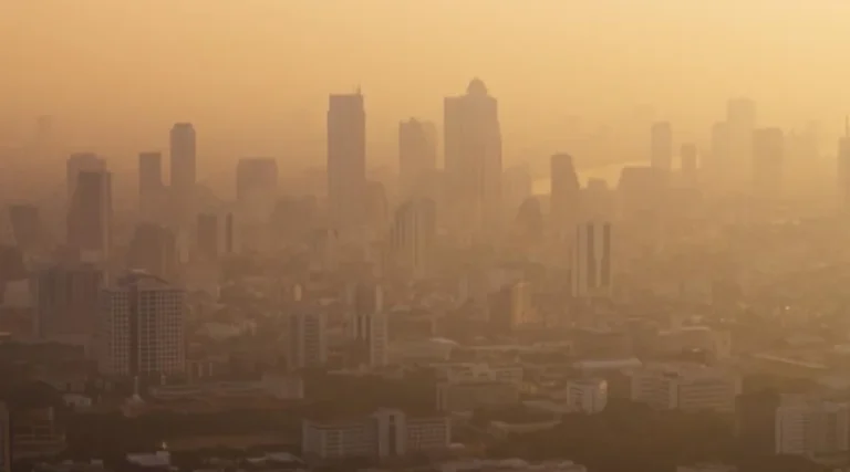 prosterafit dampak paparan polusi udara