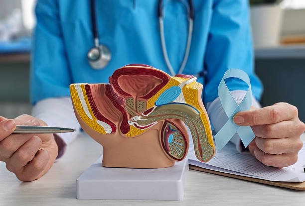 prosterafit dampak prostatitis