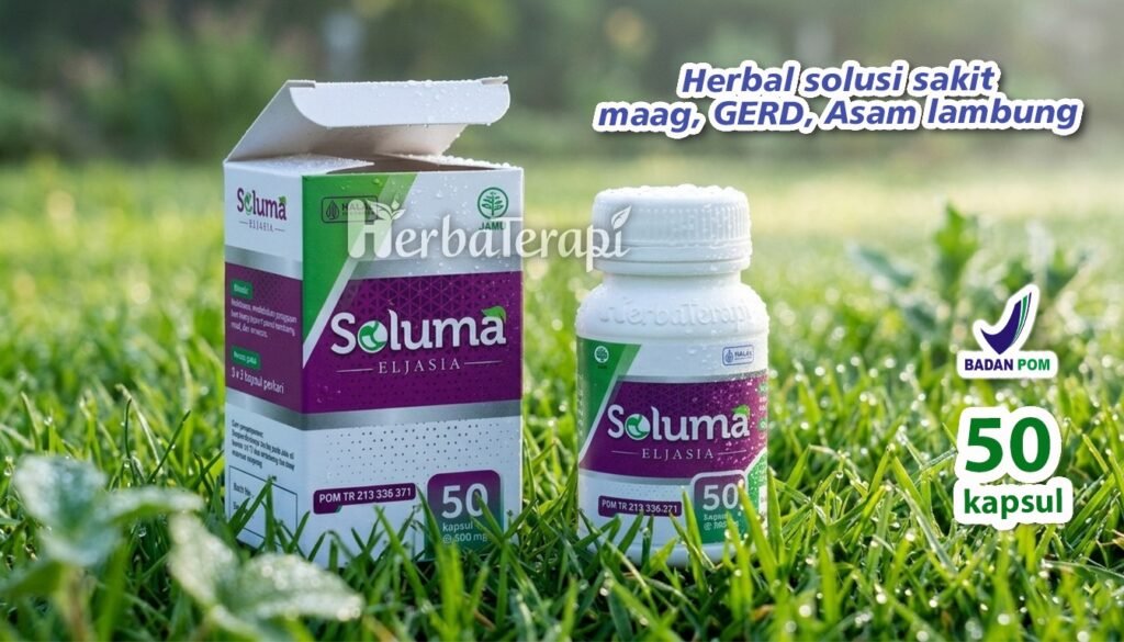 soluma Pemicu kerusakan dinding lambung
