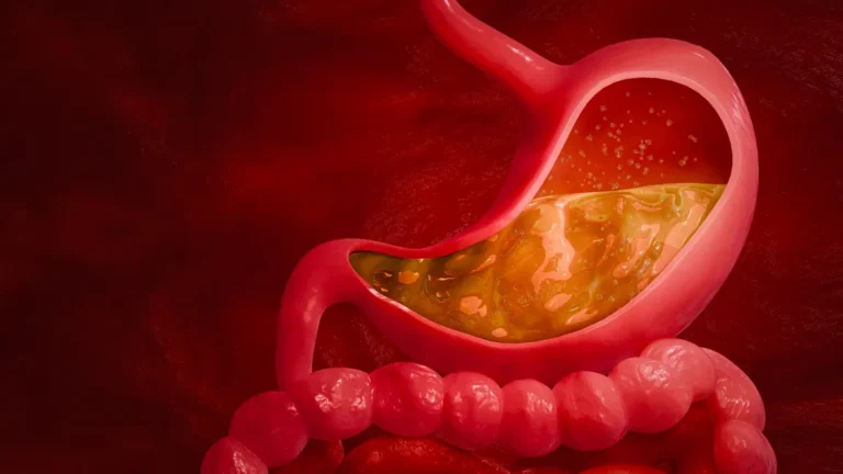 soluma fungsi asam klorida