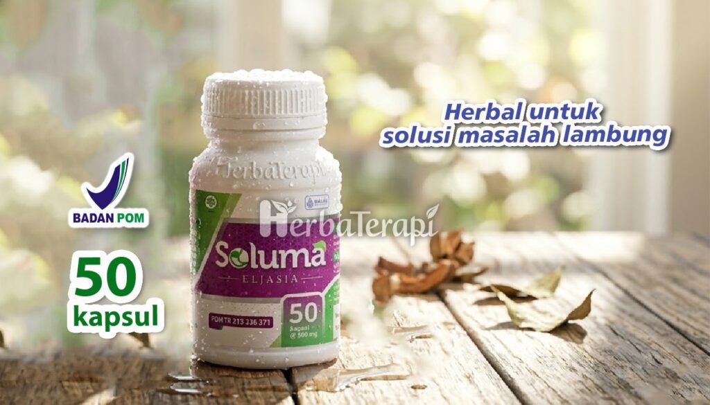 soluma peran enzim pepsin