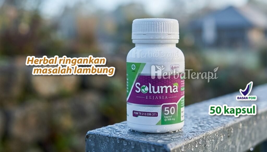 soluma ciri maag ringan