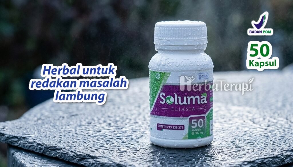 soluma diet rendah asam