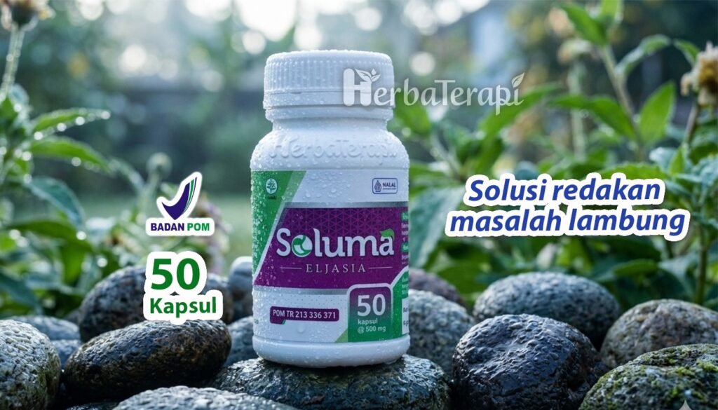 soluma herbal pereda asam lambung