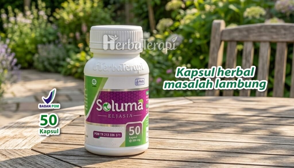 soluma kesehatan lambung