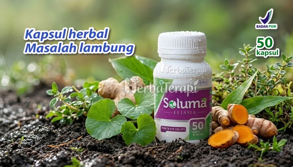 soluma makanan ramah lambung