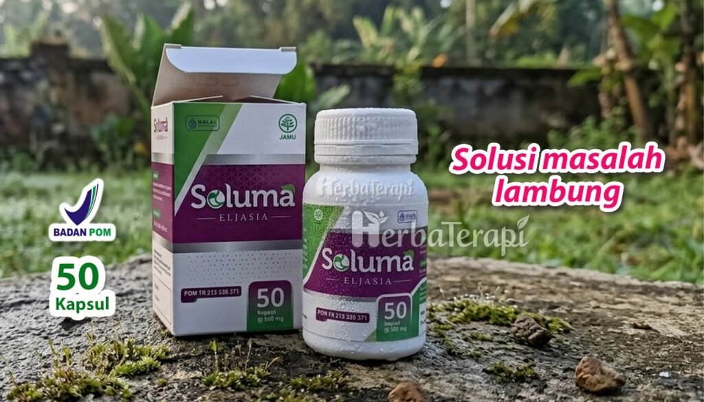 soluma asam lambung naik ke dada