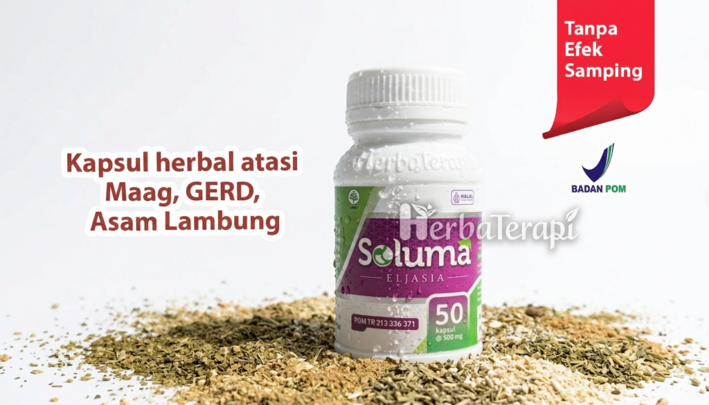 soluma makanan berlemak