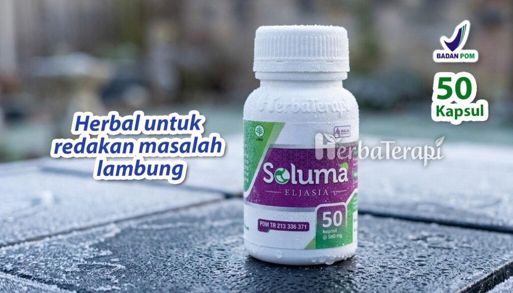 soluma nyeri dada asam lambung