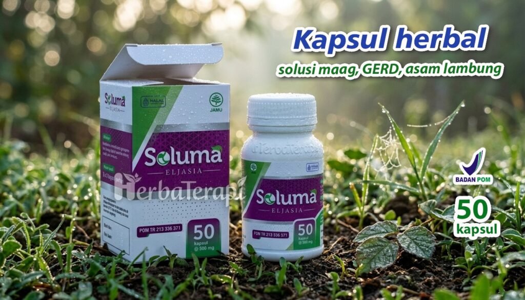 soluma pola makan tidak teratur