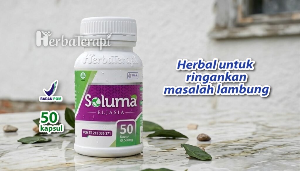 soluma penyebab maag kronis