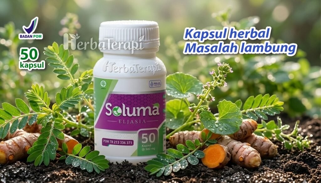 soluma menjaga kesehatan lambung