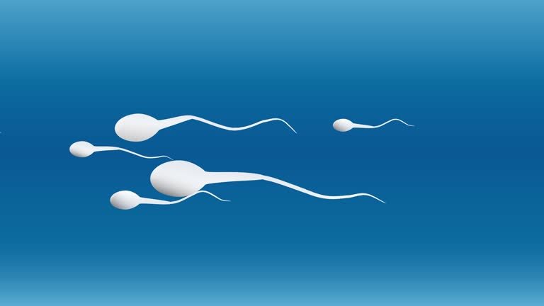 vertomen bentuk sperma tidak normal