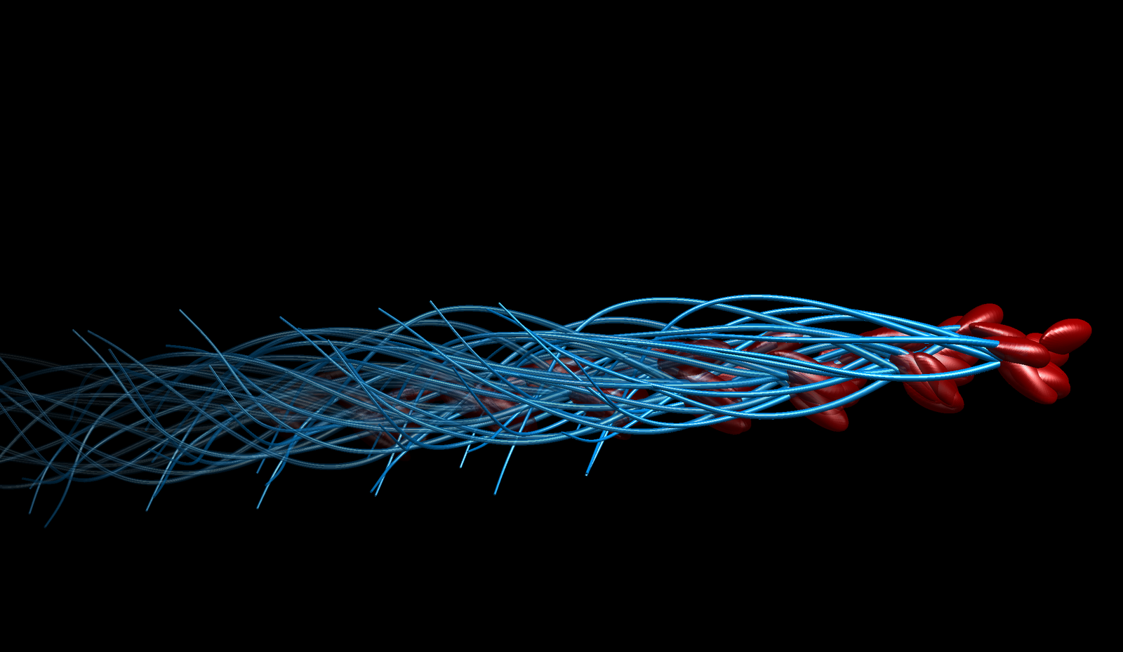 vertomen sperma yang gerakannya lambat