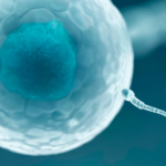 vertomen memperbaiki kualitas sperma