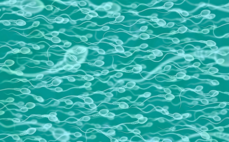 vertomen cara mengatasi sperma encer