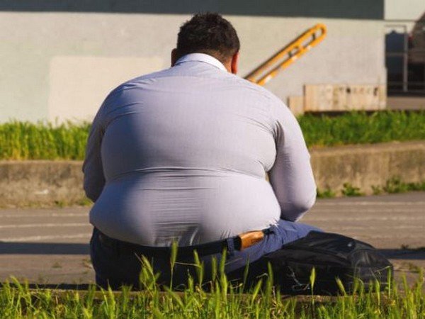 vertomen kegemukan menurunkan kadar testosteron