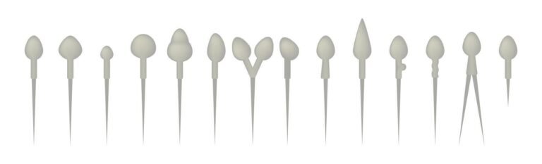 vertomen morfologi sperma