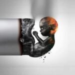 vertomen kerusakan DNA sperma