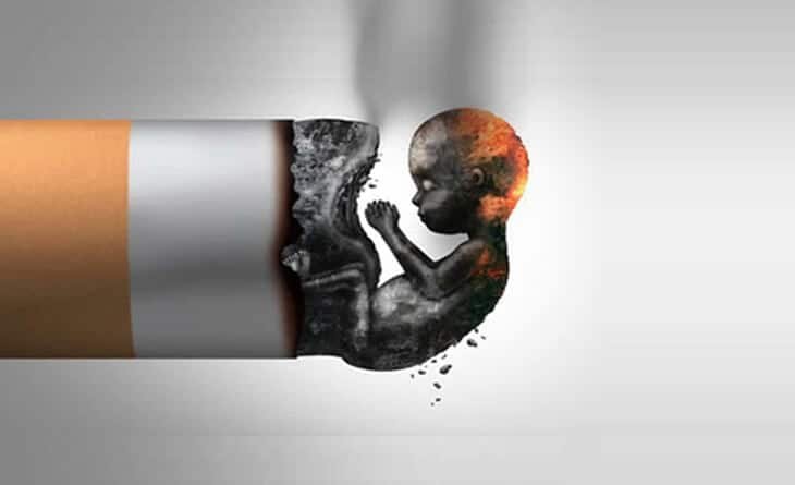 vertomen kerusakan DNA sperma