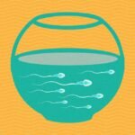 vertomen cara mengetahui kualitas sperma