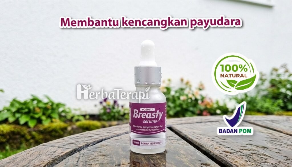 breasty Alasan Unik Pria Suka Payudara Besar