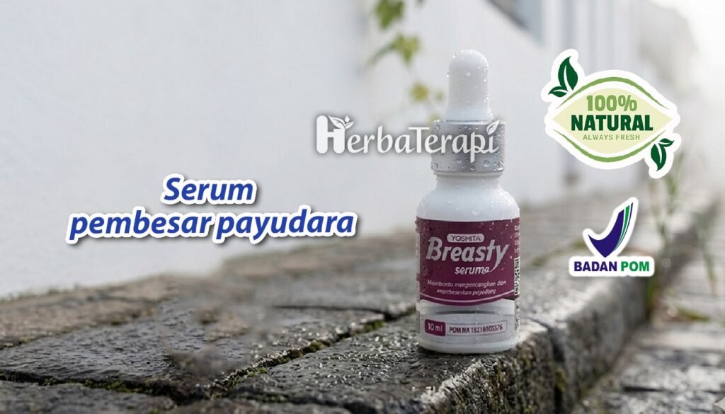 breasty Apakah Payudara Kecil Bisa Menyusui Ini Jawaban Medisnya!