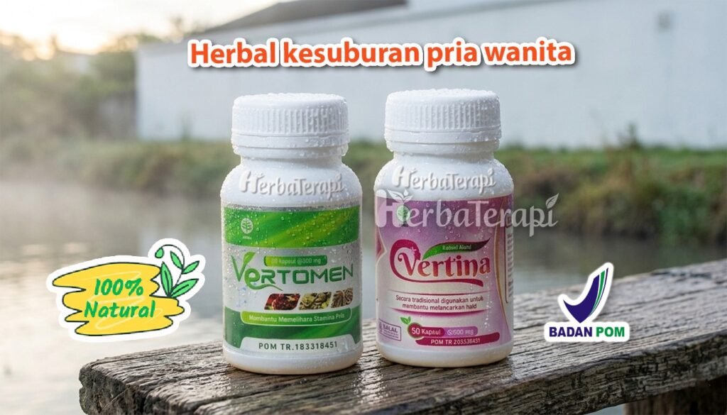 vertina vertomen Cara Meningkatkan Peluang Cepat Hamil Secara Alami Bersama Pasangan