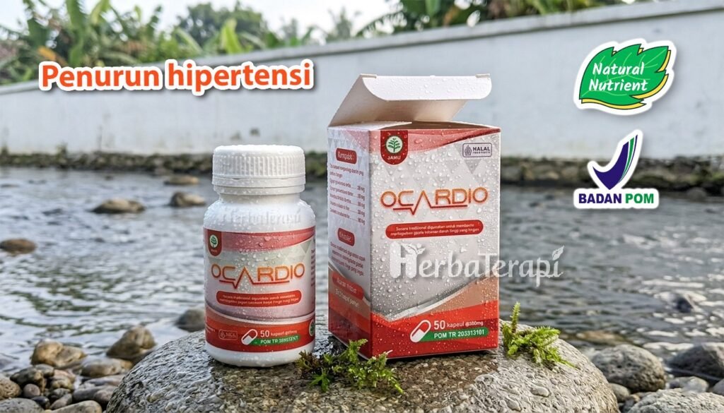 ocardio Ciri Darah Tinggi Akibat Diabetes pada Tubuh