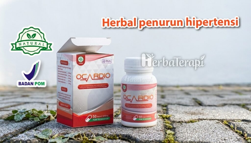 Kenali gejala darah tinggi sebelum stroke ocardio
