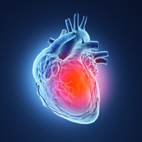Fakta atau mitos hipertensi dapat memicu komplikasi