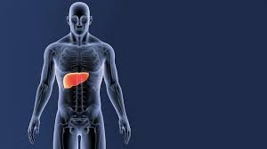 Gejala Fatty Liver yang Sering Dianggap Masalah Biasa