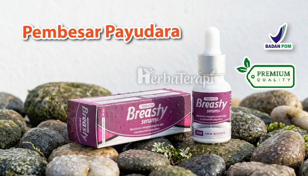 breasty Makanan Terbaik untuk Mendukung Kesehatan Payudara Wanita