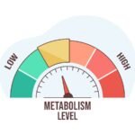 Metabolisme Tubuh Normal Berkaitan dengan Kondisi Tubuh Berisi