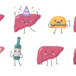 Pentingnya Menjaga Kesehatan Liver di Tengah Padatnya Gaya Hidup Modern