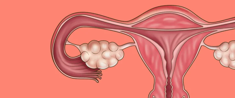 Pentingnya Menjaga Kesehatan Reproduksi Wanita Sebelum Hamil