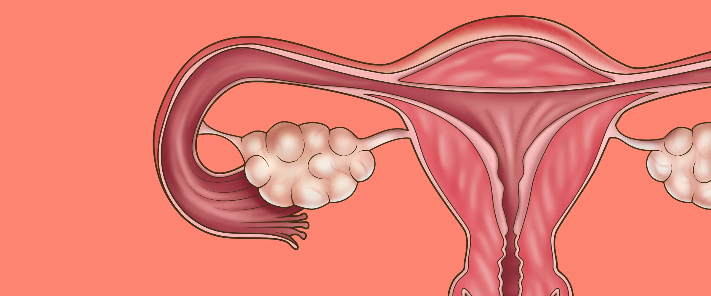 Pentingnya Menjaga Kesehatan Reproduksi Wanita Sebelum Hamil