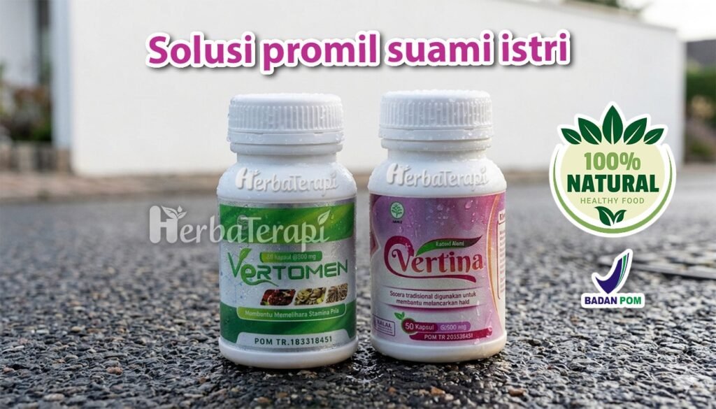 vertomen vertina Peran Penting Suplemen Pendukung Promil bagi Pasangan Muda
