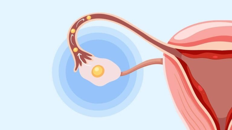 Peran Suplemen Promil Wanita dalam Menunjang Ovulasi